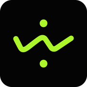 Wild Static logo